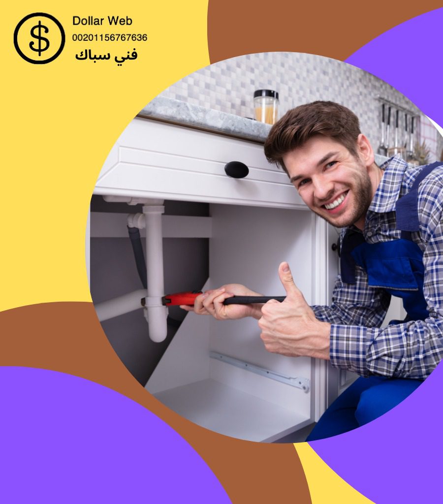 فنى صحى المهبوله بالكويت